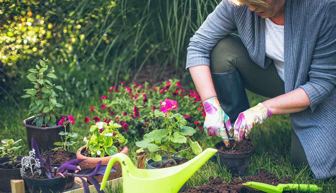 Làm vườn là một trong các bài tập nhẹ nhàng nhất