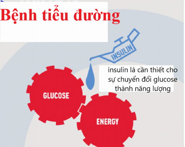 Tiểu đường type mấy thì dùng insulin?