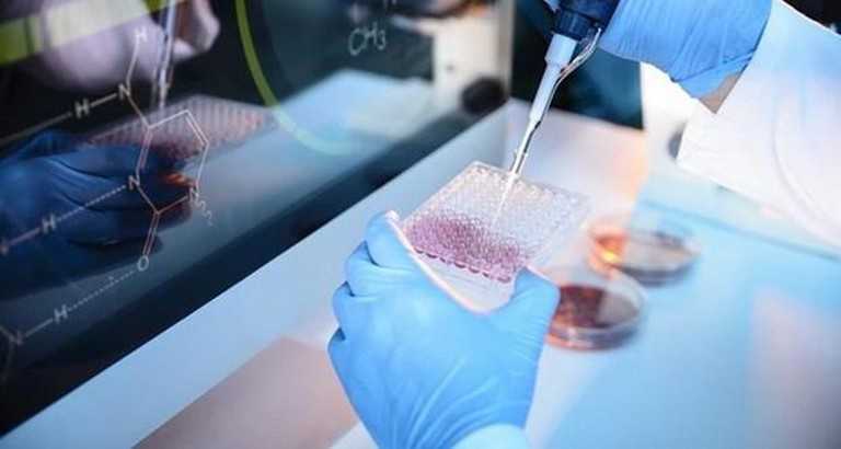 Công nghệ tế bào gốc chữa tiểu đường