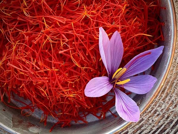 Tác dụng của saffron với bệnh tiểu đường