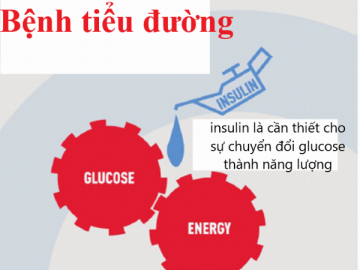 Tiểu đường type mấy thì dùng insulin?