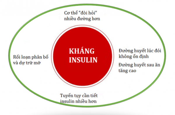 kháng insulin là gì